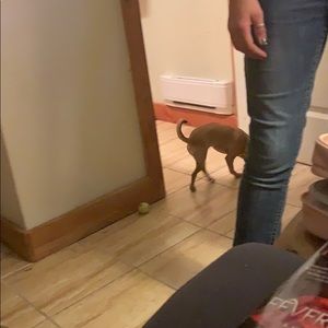 Meet your Posher, Adria